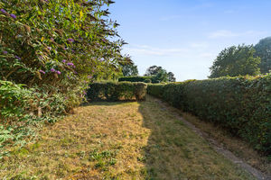Photo 28- click for photo gallery